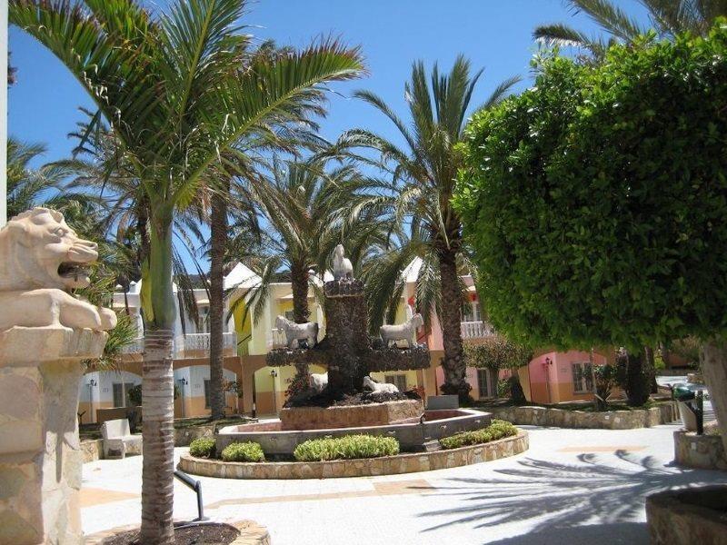 Apartamentos Stella Jandia Playa Jandia Dış mekan fotoğraf
